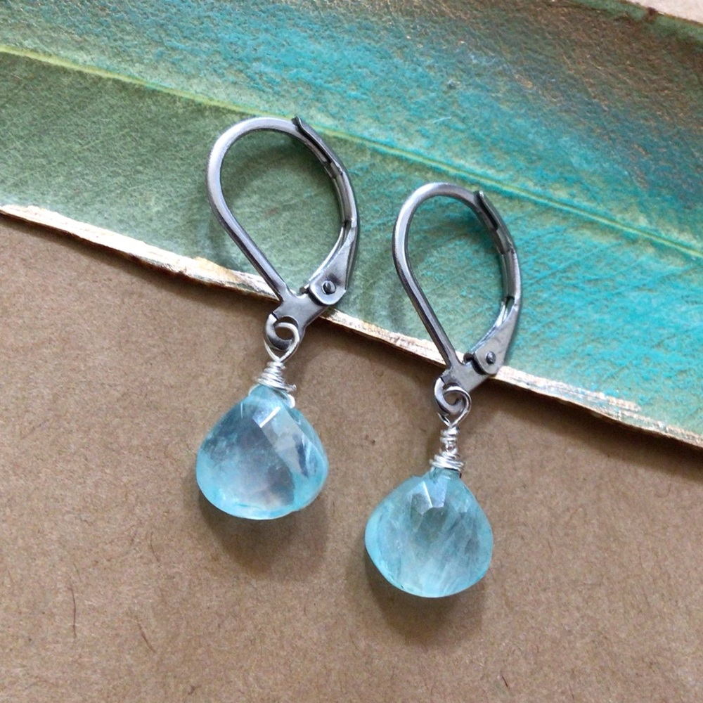Natural Aquamarine Sundance Charm Earrings - Picture 9 of 12